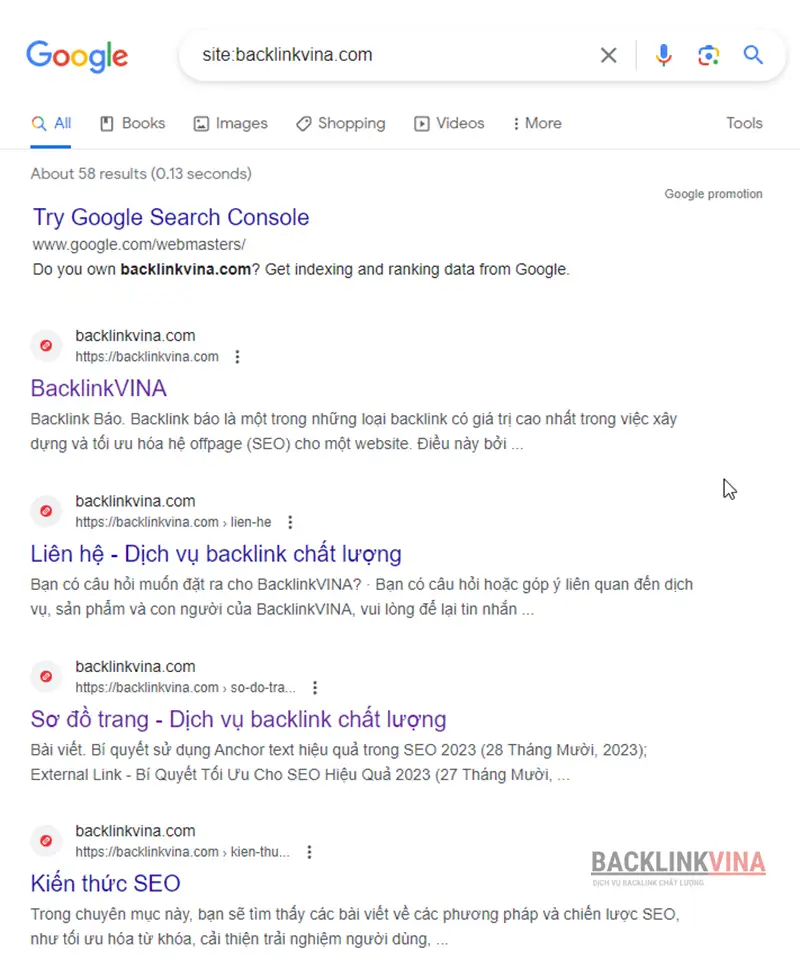 Để kiểm tra index bằng Google Search bằng cú pháp: "site:domain"