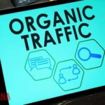 Organic Traffic - Chiến Lược Đỉnh Cao của Chuyên Gia SEO