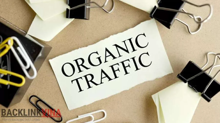 Tầm quan trọng của Organic traffic trong SEO